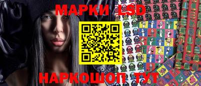 крисы Нальчик