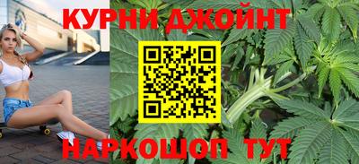 крисы Нальчик