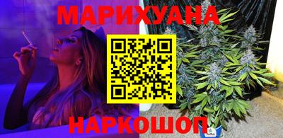 крисы Нальчик