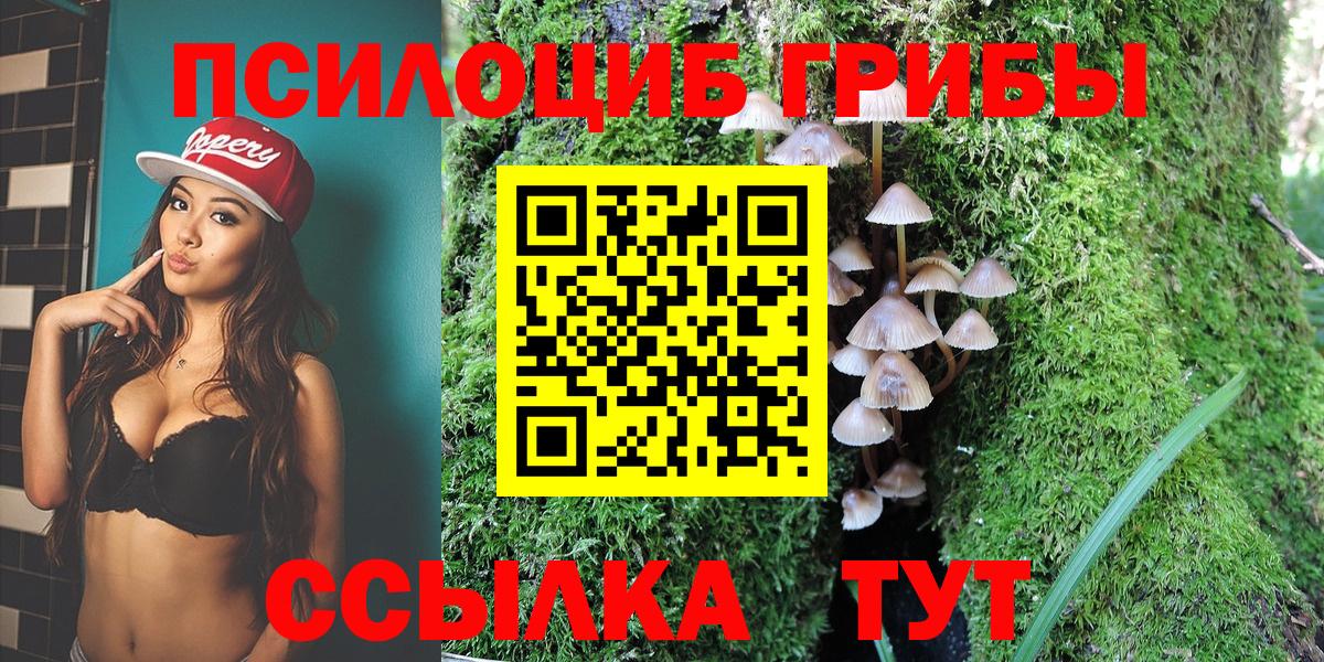 Ялуторовск  Псилоцибиновые грибы Psilocybe  Вход с VPN 