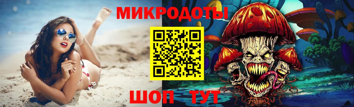 Псилоцибиновые грибы Psilocybe Ялуторовск